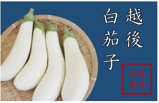 越後白茄子(ナス)